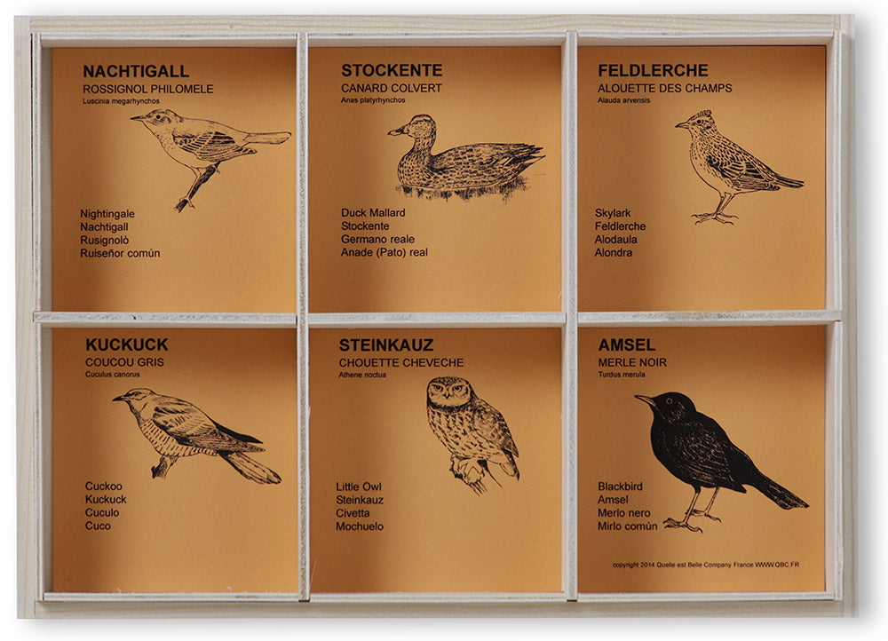 Sifflet d'oiseau – Kikkerland Design Inc